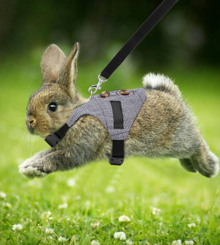 Rabbit Vest Harness and Leash Set Adjustable Formal Suit Style for Bunny Kitten Small Animal Walking (S)