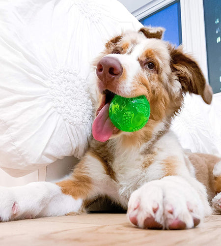 Durasqueak Dog Ball Toy, Interactive Dog Toys That Float and Squeaks for Playing, Fetching and Retrieving-Great Alternative to Traditional Tennis Balls Green 2.5 Inch